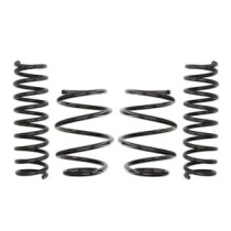 Coborarea arcului EIBACH