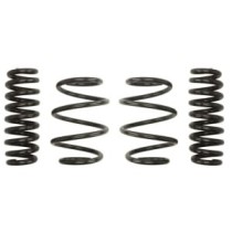 Coborarea arcului EIBACH