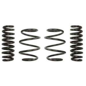 Coborarea arcului EIBACH