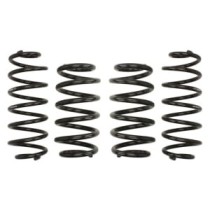 Coborarea arcului EIBACH