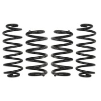 Coborarea arcului EIBACH