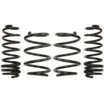 Coborarea arcului EIBACH