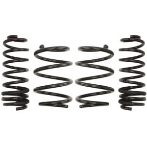 Coborarea arcului EIBACH