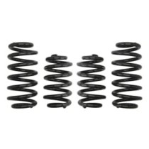 Coborarea arcului EIBACH