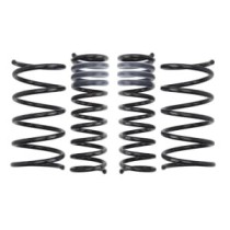 Coborarea arcului EIBACH