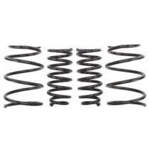 Coborarea arcului EIBACH