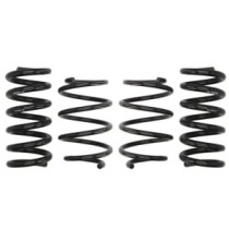 Coborarea arcului EIBACH