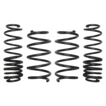 Coborarea arcului EIBACH