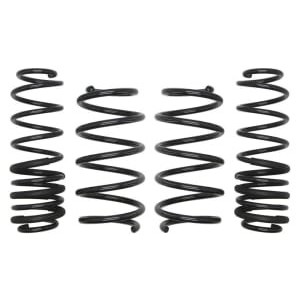 Coborarea arcului EIBACH