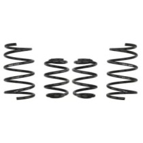 Coborarea arcului EIBACH