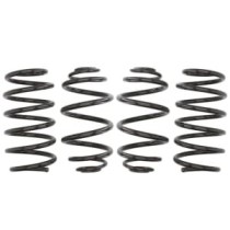 Coborarea arcului EIBACH