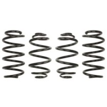 Coborarea arcului EIBACH