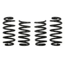 Coborarea arcului EIBACH