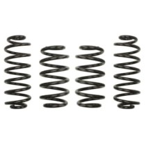 Coborarea arcului EIBACH