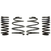 Coborarea arcului EIBACH