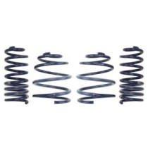 Coborarea arcului EIBACH