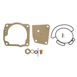 Set reparatie, carburator SIERRA INTERNATONAL LLC