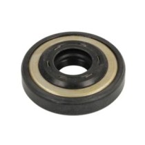 Sigiliu SIERRA INTERNATONAL LLC