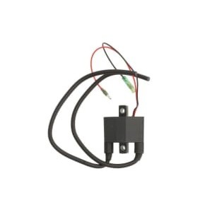 Bobina de inductie SIERRA INTERNATONAL LLC