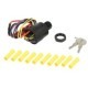 Set post, cheie SIERRA INTERNATONAL LLC pentru sistem electric, post de aprindere, elemente compatibile auto