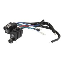 Releul pompei SIERRA INTERNATONAL LLC