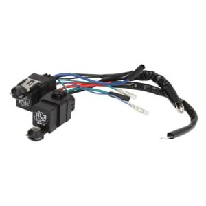 Releul pompei SIERRA INTERNATONAL LLC