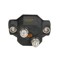 Siguranta SIERRA INTERNATONAL LLC