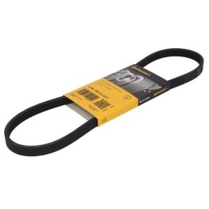 Curea transmisie cu caneluri CONTITECH