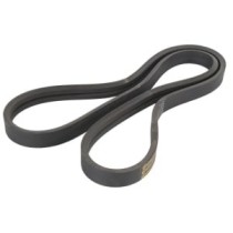 Curea transmisie CONTITECH