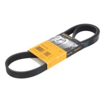 Curea transmisie cu caneluri CONTITECH