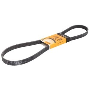 Curea transmisie cu caneluri CONTITECH