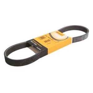 Curea transmisie cu caneluri CONTITECH