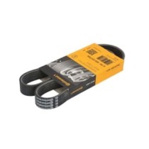 Curea transmisie cu caneluri CONTITECH