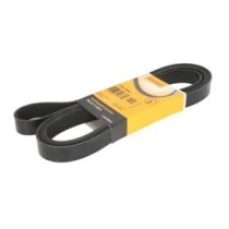 Curea transmisie cu caneluri CONTITECH