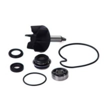 Set reparatie, pompa apa VICMA