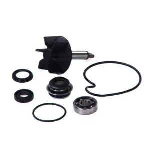 Set reparatie, pompa apa VICMA