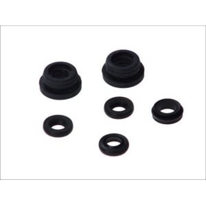 Set reparatie, pompa centrala frana AUTOFREN SEINSA