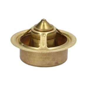 Termostat,lichid racire VERNET