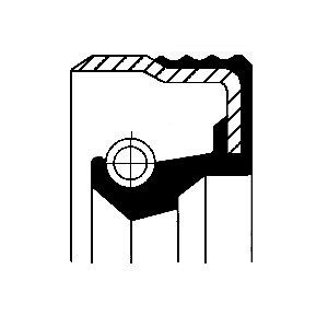 Inel etansare, pompa injectie