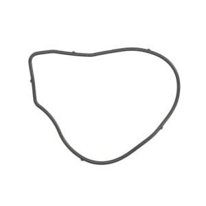 Garnitura, pompa de apa