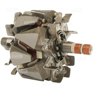 Rotor,alternator