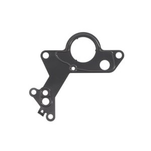 Garnitura, pompa combustibil